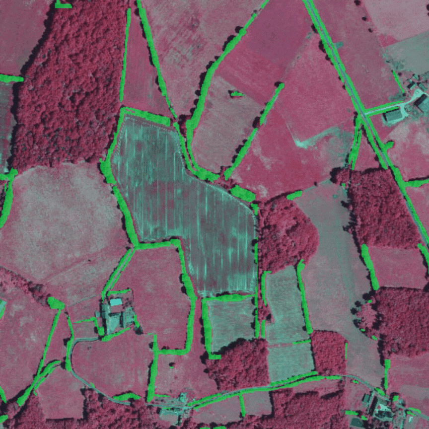 Eagle Hedges, a spatial zoom on the hedgerow network Space Climate Observatory